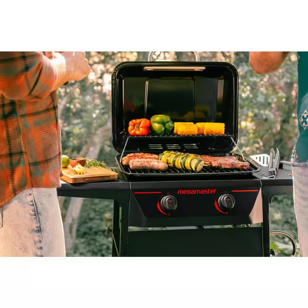 2-Burner Propane Gas Grill in Black