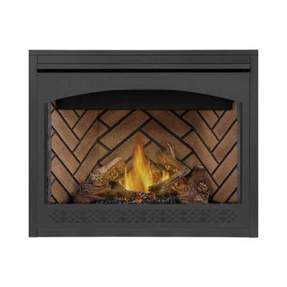 Napoleon Ascent 42 Direct Vent Millivolt Ignition Propane Gas Fireplace [B42N/PTR] (SAK91456)